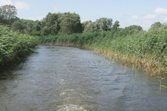 foto Julek Bąkowski