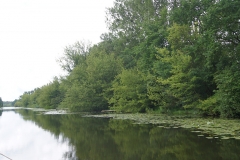 foto Julek Bąkowski