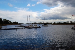 foto Marek Królikowski