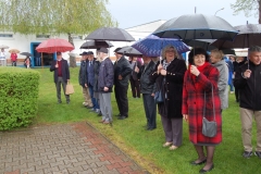 foto Marek Królikowski