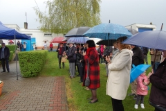 foto Marek Królikowski