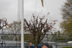 foto Marek Królikowski