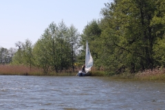 foto Marek Królikowski