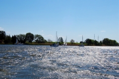 foto Marek Królikowski