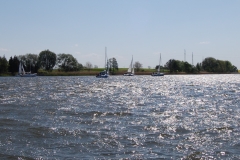 foto Marek Królikowski