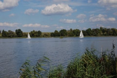 foto Marek Królikowski