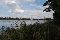 foto Marek Królikowski