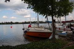 foto Marek Królikowski