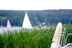 foto Marek Mikołajczak
