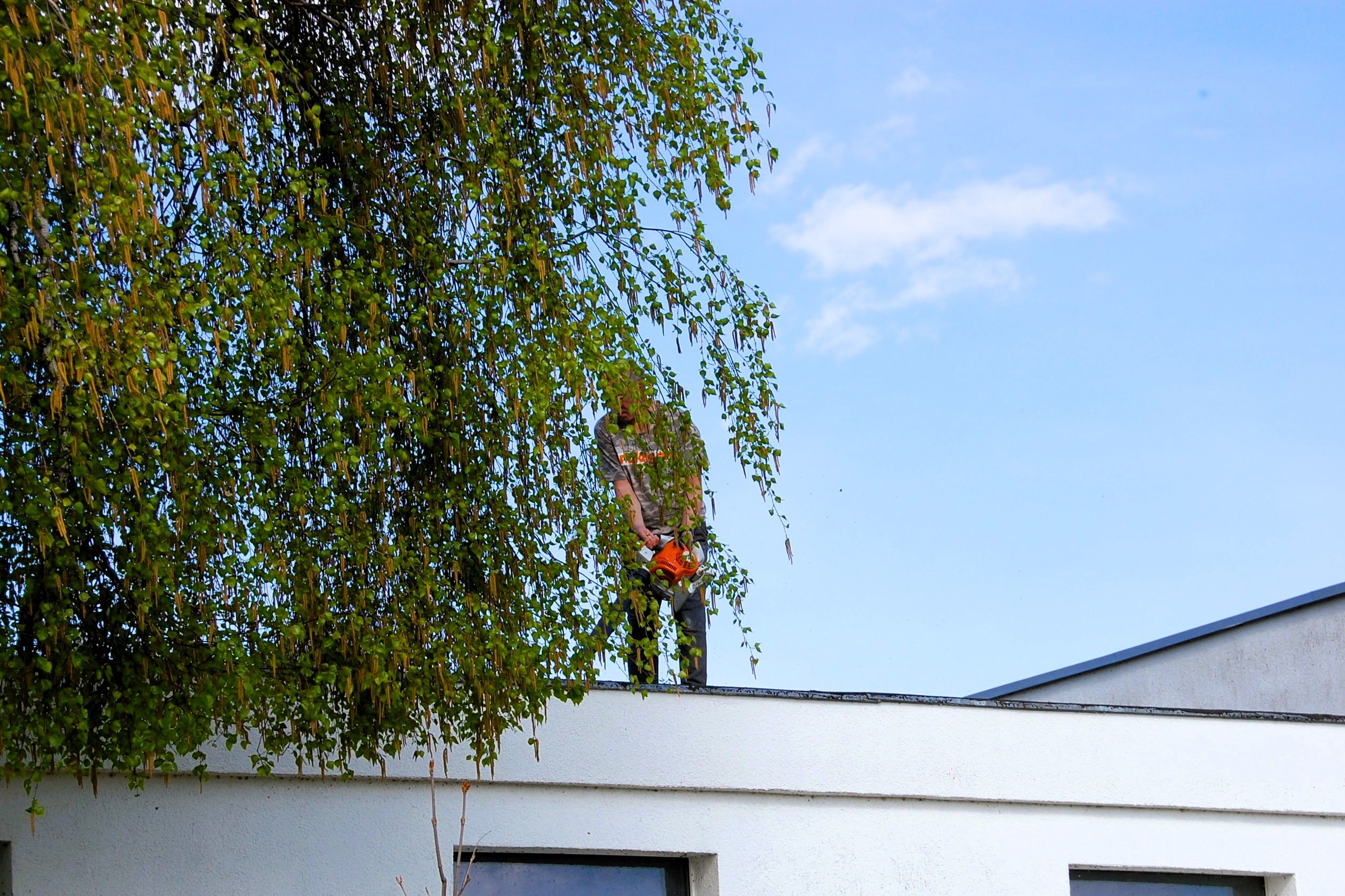 2026_04_23_Wiosenne_prace_porzadkowe_w_KZ_ODLEWNIK_SREM_0015