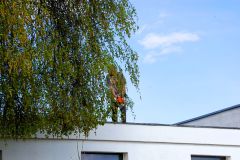 2026_04_23_Wiosenne_prace_porzadkowe_w_KZ_ODLEWNIK_SREM_0015