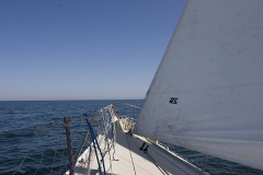 Rejs klubowy na s/y FAZISI 9-11.05.2008 (Świnoujście - Borholm - Świnoujście)