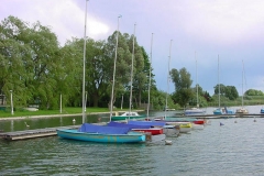 foto Jacek Świtalski