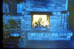 archiwum Franciszka Adamskiego