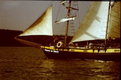 archiwum Franciszka Adamskiego