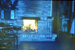 archiwum Franciszka Adamskiego