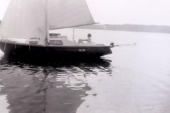 archiwum Franciszka Adamskiego