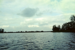 archiwum Jana Leśniaka