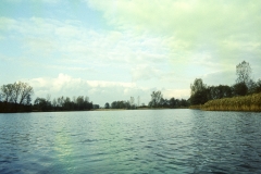 archiwum Jana Leśniaka