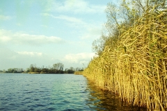 archiwum Jana Leśniaka