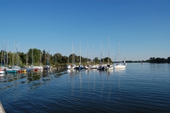 foto Marek Królikowski