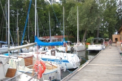 foto Marek Królikowski