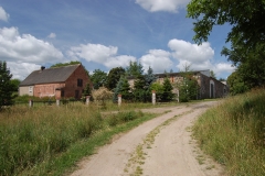 foto Marek Królikowski