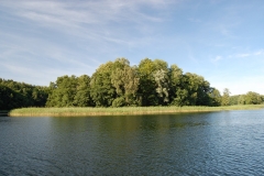 foto Marek Królikowski