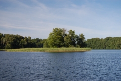 foto Marek Królikowski