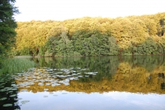 foto Marek Królikowski
