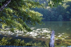 foto Marek Królikowski