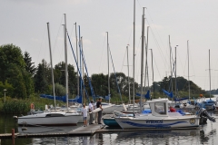 foto Włodek Matuszak