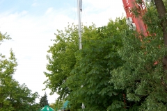 foto Marek Królikowski