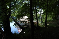 foto Marek Królikowski
