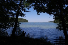 foto Marek Królikowski