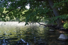 foto Marek Królikowski