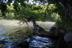 foto Marek Królikowski