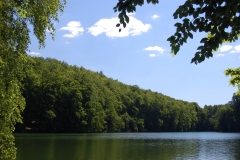 foto Marek Królikowski
