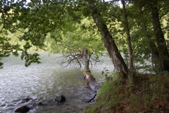foto Marek Królikowski
