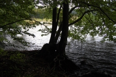 foto Marek Królikowski