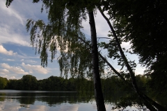 foto Marek Królikowski