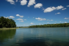 foto Marek Królikowski