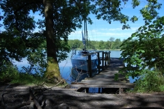foto Marek Królikowski