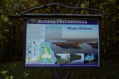 foto Marek Królikowski