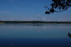 foto Marek Królikowski