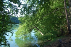 foto Marek Królikowski