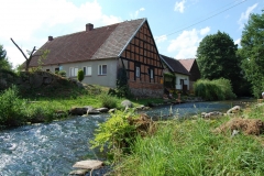 foto Marek Królikowski