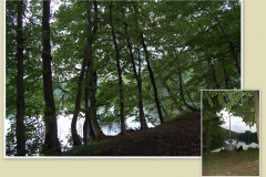 foto Marek Królikowski