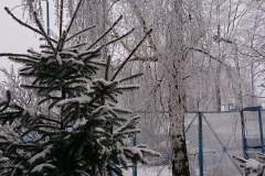 foto Tomek Kubski