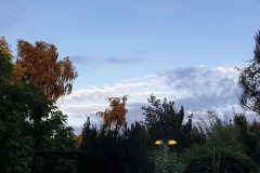 foto Tomasz Kubski